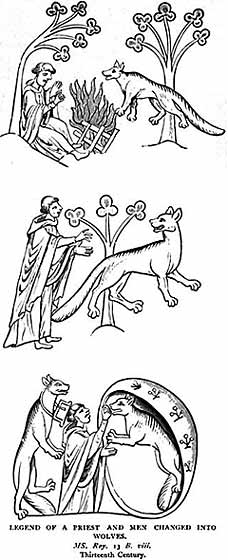 The “Legend of Priest and Were-Wolves” from the Topographia Hibernica by Gerald de Barri (Giraldus Cambrensis), the Medieval Norman-British chronicler and propagandist