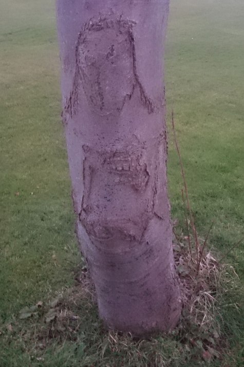 Síle na gCrann, Binn Éadair, Fine Gall, Cúige Laighean, Éire