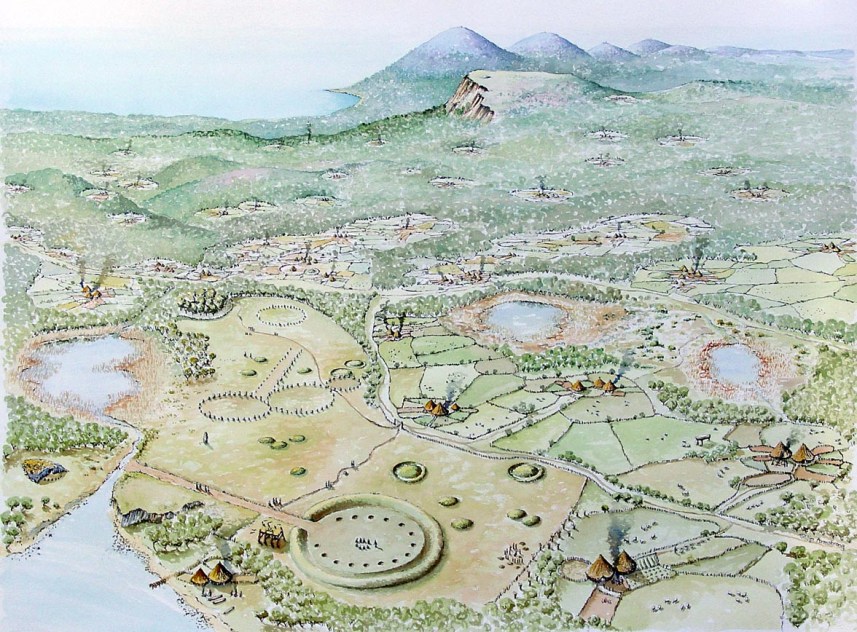 An overview of the settlement landscape of Ireland during the latter part of the Bronze Age