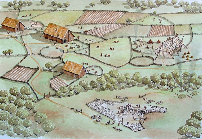 The permanent settlement of a farming community in Ireland during the Neolithic Age
